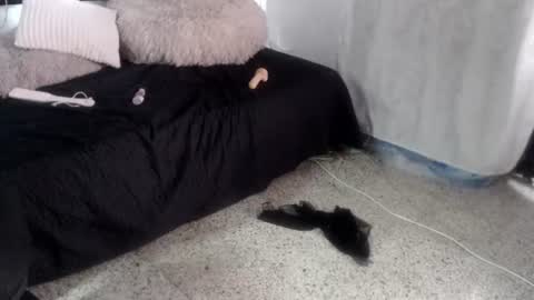 alexa_collinsx Momentaufnahme des Live-Raums auf Chaturbate