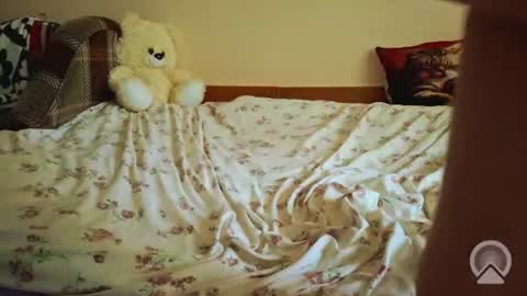 alice_alice3535 captura de la sala en vivo en Chaturbate