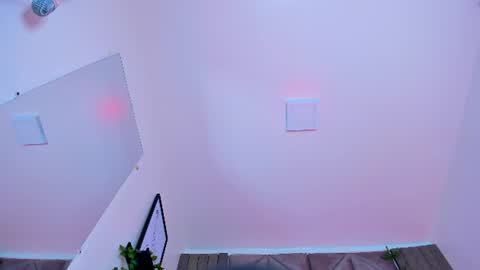 briaconner_ live room snapshot on Chaturbate