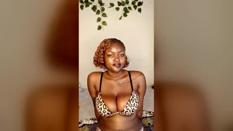 chichibusty снимок онлайн-комнаты на Chaturbate