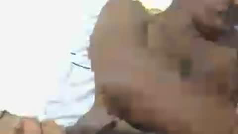 dickruss0070003 live room snapshot on Chaturbate