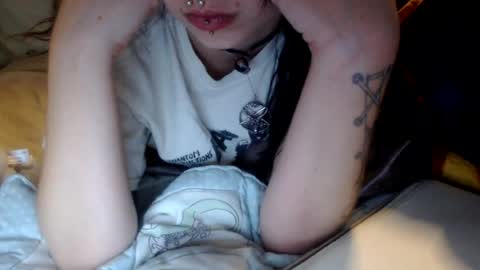 dontcvm4me live room snapshot on Chaturbate