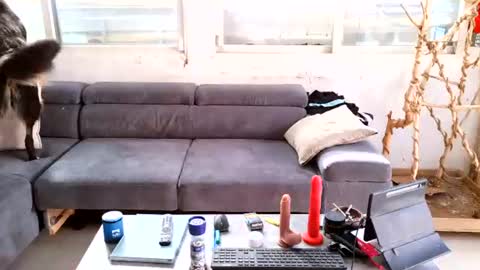 eldad3371 Momentaufnahme des Live-Raums auf Chaturbate