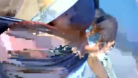 esmeray_ captura de la sala en vivo en Chaturbate