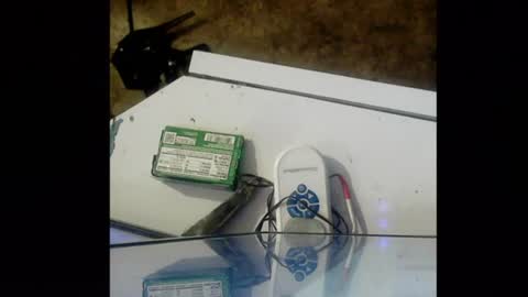 flippinbird live room snapshot on Chaturbate