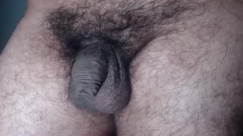 furryassholexx live room snapshot on Chaturbate
