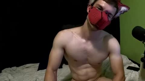 harimiau Momentaufnahme des Live-Raums auf Chaturbate