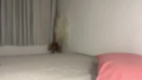 irene_tiu captura de la sala en vivo en Chaturbate