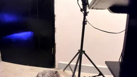 jany_hottiers Momentaufnahme des Live-Raums auf Chaturbate