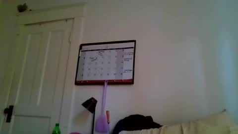 jenovakitty live room snapshot on Chaturbate