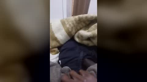 jerkboyyardie Momentaufnahme des Live-Raums auf Chaturbate