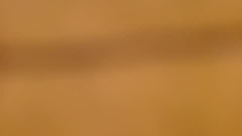 leadesire live room snapshot on Chaturbate