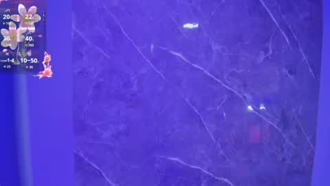 leticia__lyn momentopname van live room op Chaturbate