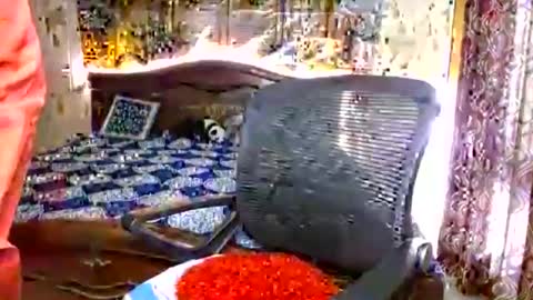 lilly_07 captura de la sala en vivo en Chaturbate