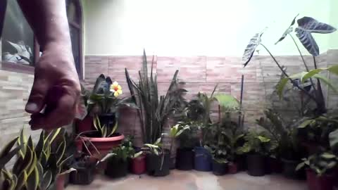 lucasdecr momentopname van live room op Chaturbate
