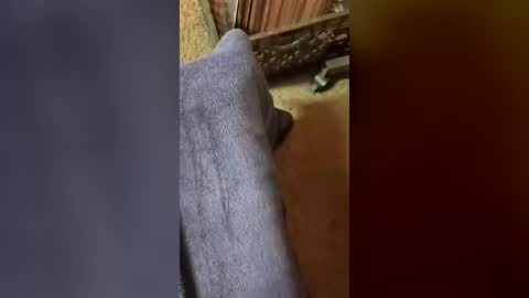 mastodon321 captura de la sala en vivo en Chaturbate