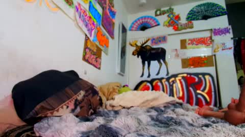 mscuntyluxxe live room snapshot on Chaturbate