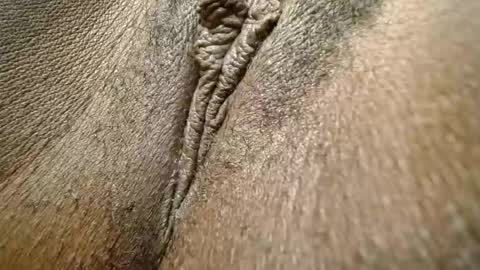 mynameiswet Momentaufnahme des Live-Raums auf Chaturbate