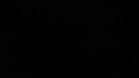 pelaks captura da sala ao vivo na Chaturbate