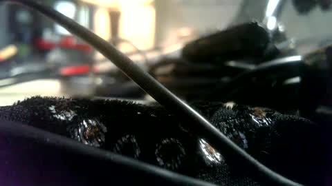 peterdevo captura de la sala en vivo en Chaturbate