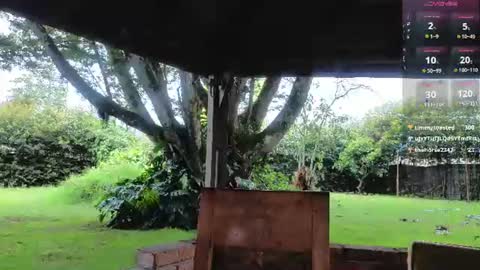 sarazuletaa live room snapshot on Chaturbate