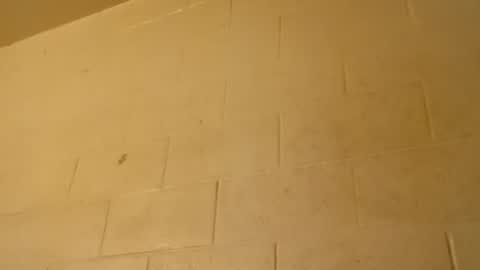 sethandrah_n_crazyeyes live room snapshot on Chaturbate