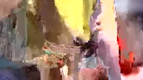 siri_saru live room snapshot on Chaturbate