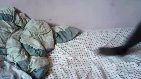 squirtypussie live room snapshot on Chaturbate