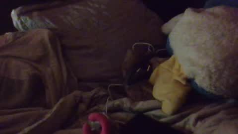 teanytinyteanytina live room snapshot on Chaturbate