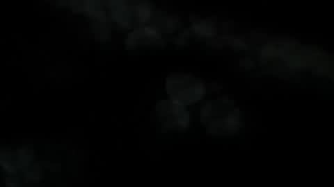 thaidancer captura da sala ao vivo na Chaturbate