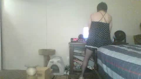thatshywaifu live room snapshot on Chaturbate