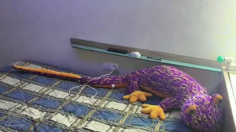 thormento22 Momentaufnahme des Live-Raums auf Chaturbate