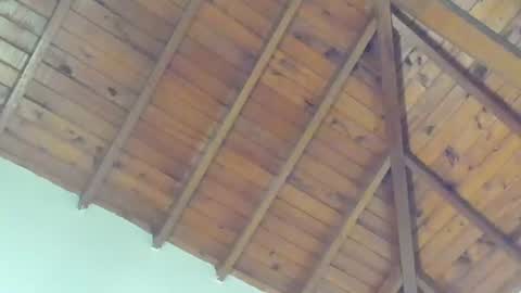 tony_petrov live room snapshot on Chaturbate