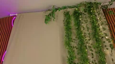 veronicaterry Momentaufnahme des Live-Raums auf Chaturbate