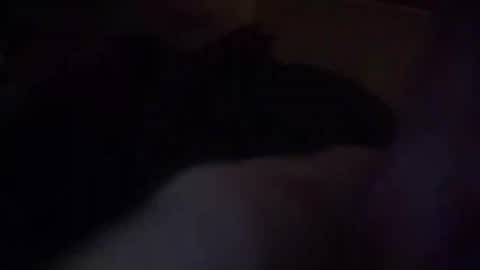 zimbryn Momentaufnahme des Live-Raums auf Chaturbate