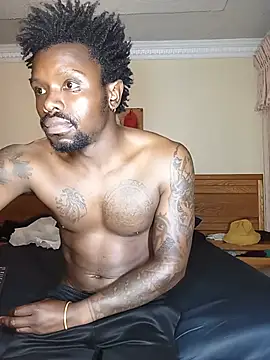 -HIIM- Momentaufnahme des Live-Raums auf Stripchat
