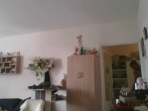 82liska Momentaufnahme des Live-Raums auf Stripchat