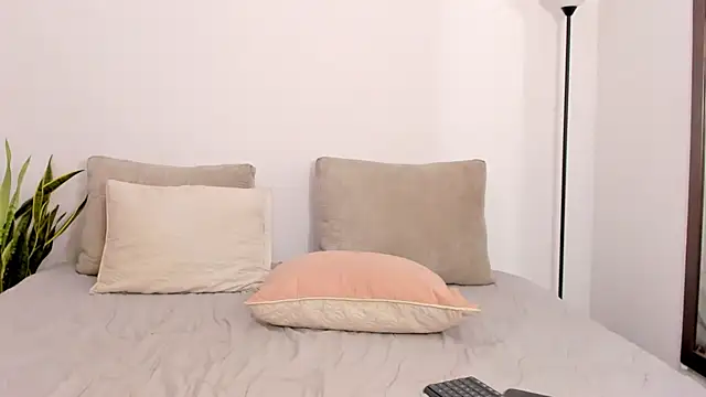AkiraHomers live room snapshot on Stripchat