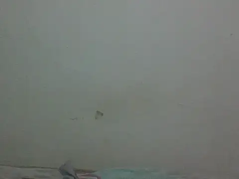 AlbertBigCock captura de la sala en vivo en Stripchat
