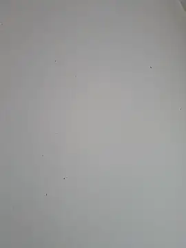 CariocaCasado23cm Momentaufnahme des Live-Raums auf Stripchat