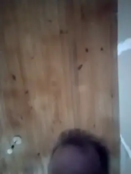 CulturedBus909 Momentaufnahme des Live-Raums auf Stripchat
