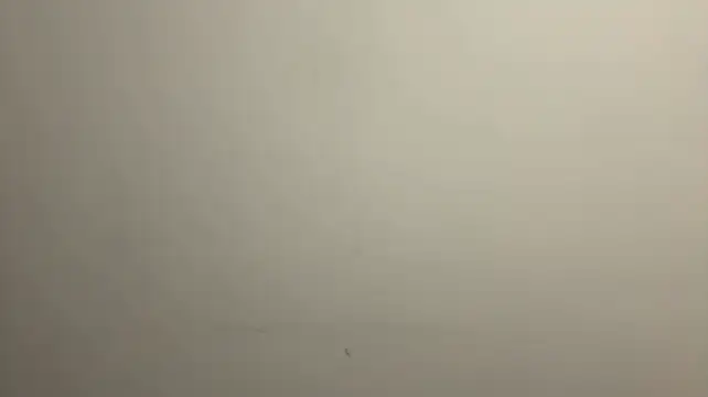 DarleenPischke captura de la sala en vivo en Stripchat