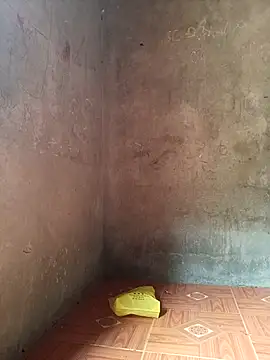 Dian-9 captura de la sala en vivo en Stripchat