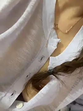 Dian-Sex live room snapshot on Stripchat