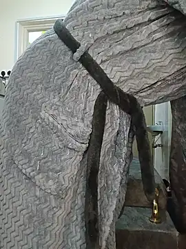 EbonySquirtBby captura da sala ao vivo na Stripchat