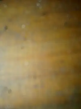 Elchabondestrip Momentaufnahme des Live-Raums auf Stripchat