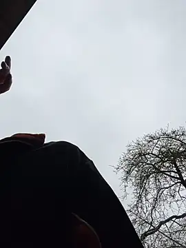 GingerBeardedLynx live room snapshot on Stripchat
