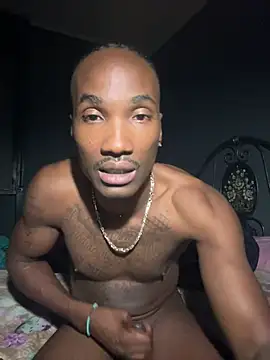 JFrendly Momentaufnahme des Live-Raums auf Stripchat