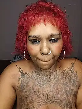 Javel123 Momentaufnahme des Live-Raums auf Stripchat