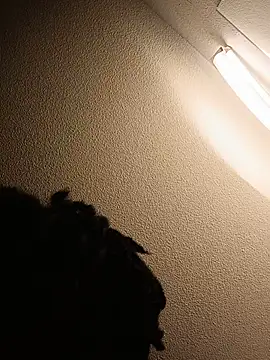 MARKQUNNA Momentaufnahme des Live-Raums auf Stripchat